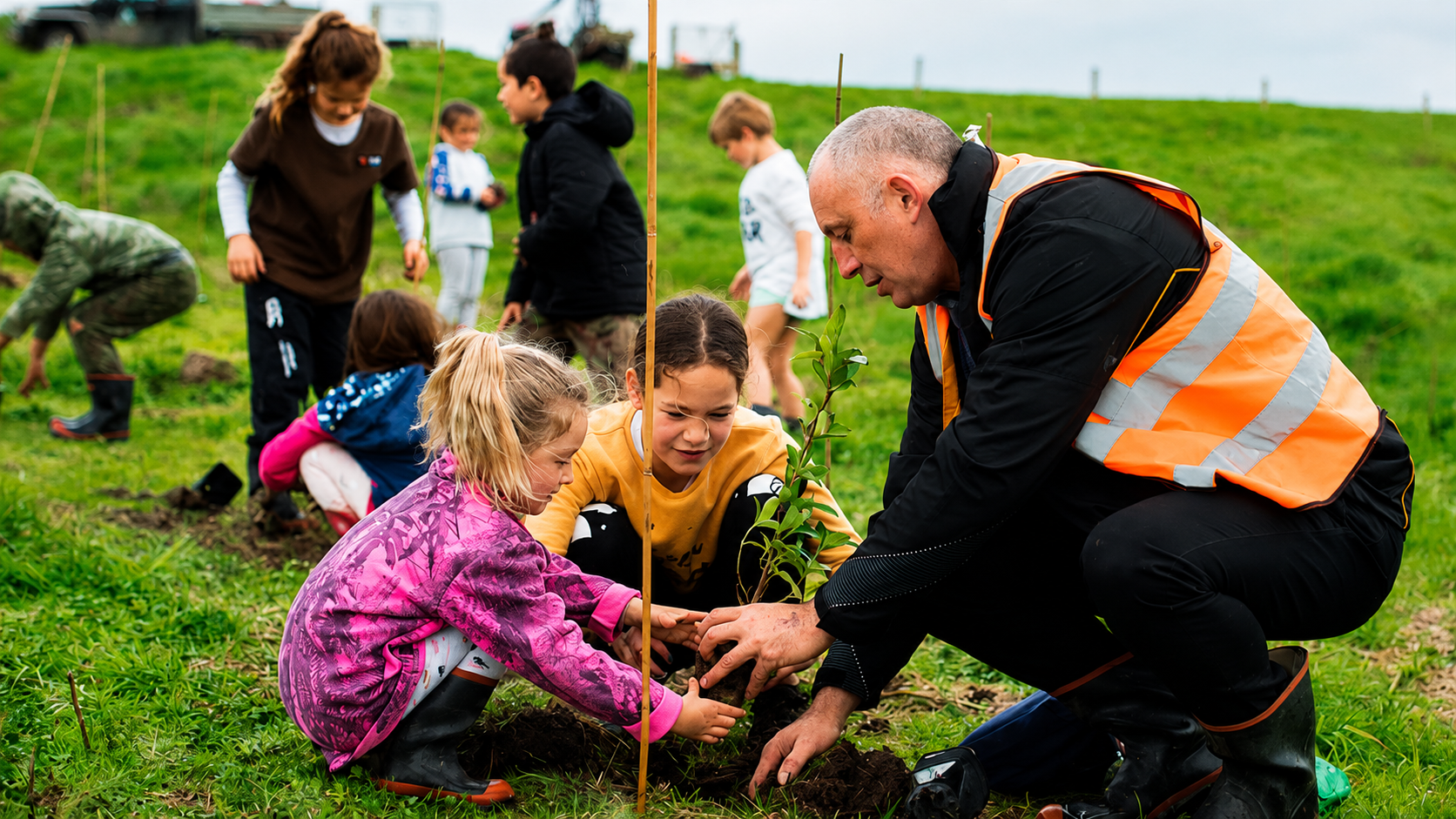 Te Whāngai Trust Reforestation Site